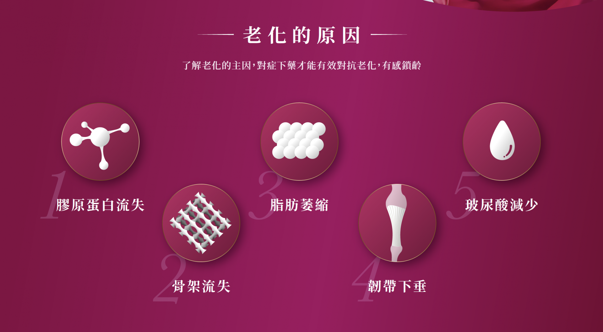 Sculptra4D舒顏萃 童顏針 童妍針 膠原蛋白增生