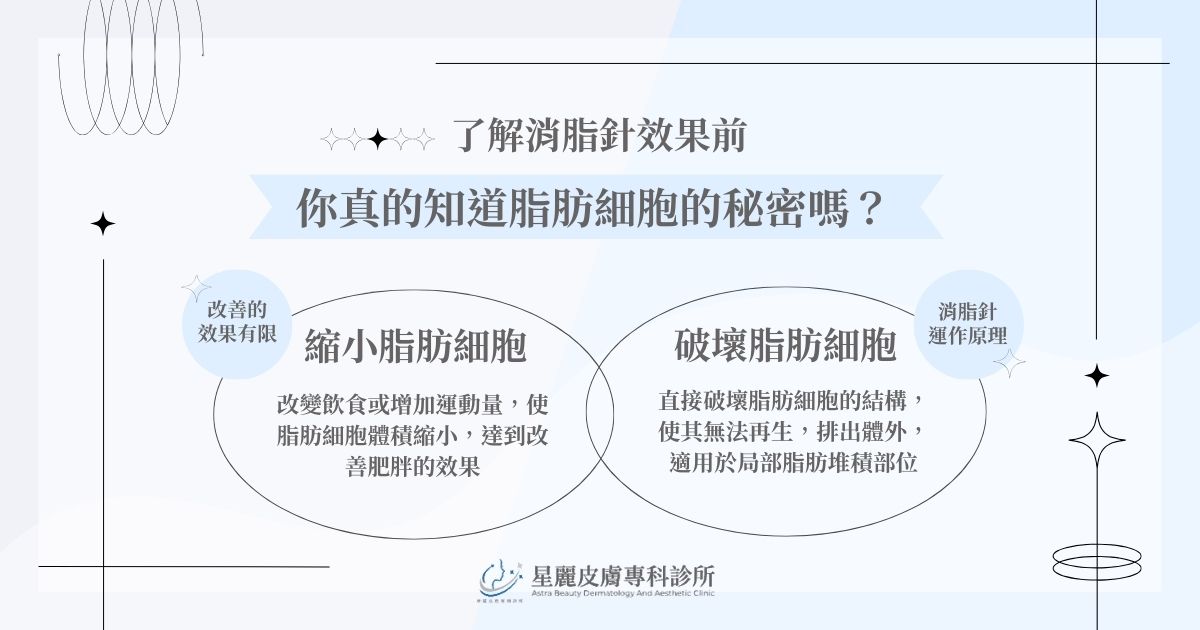 了解消脂針效果前,你真的知道脂肪細胞的秘密嗎?