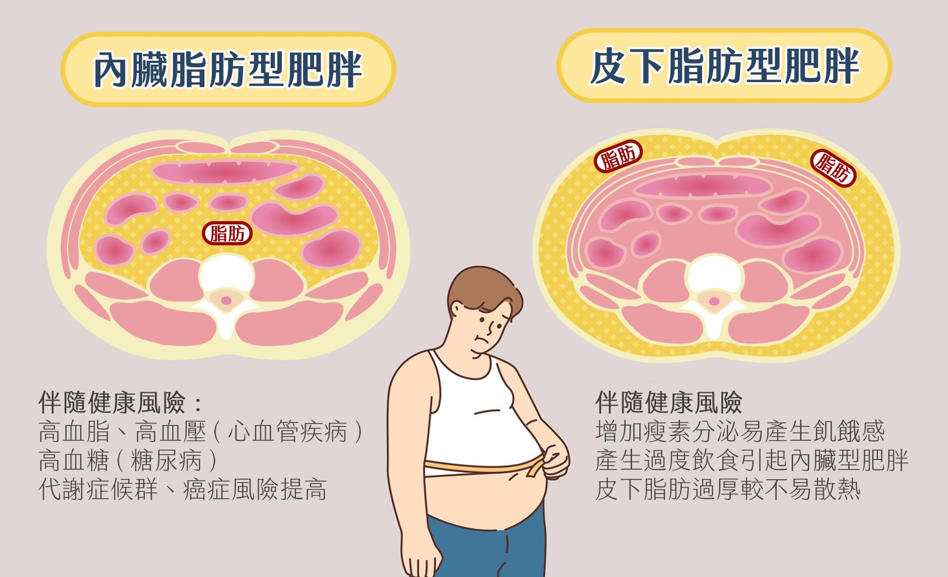 內臟型脂肪肥胖 皮下脂肪肥胖