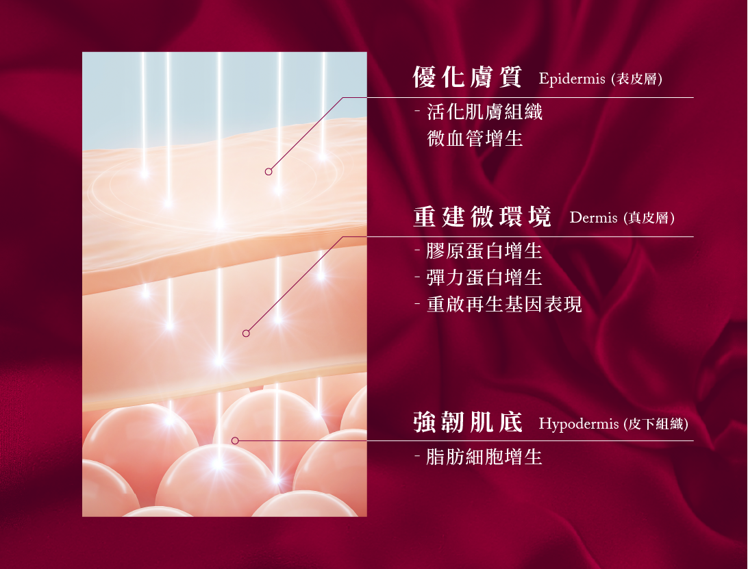 Sculptra4D舒顏萃 童顏針 童妍針 膠原蛋白增生