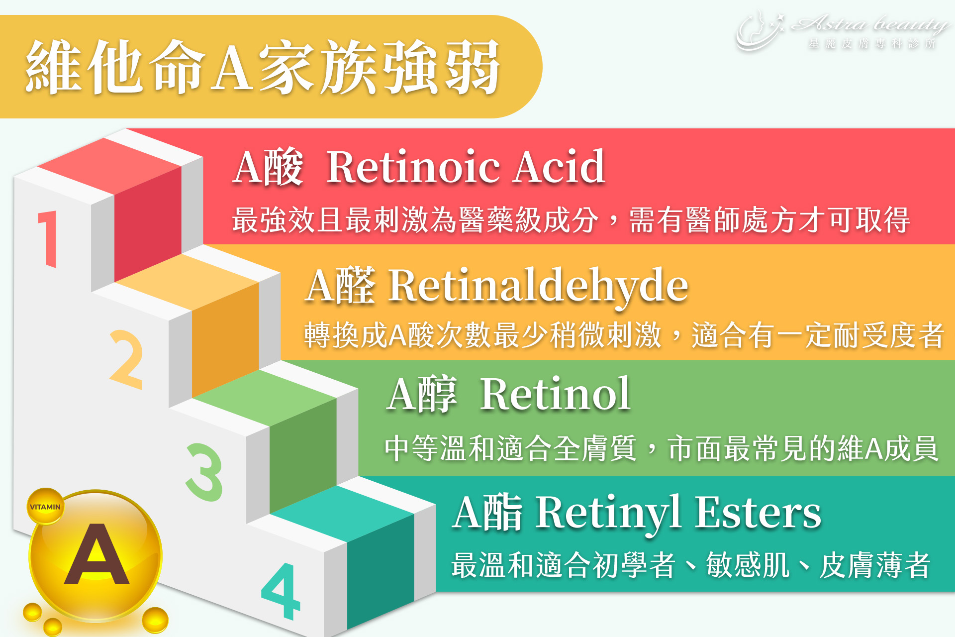 維他命A家族成員與特性