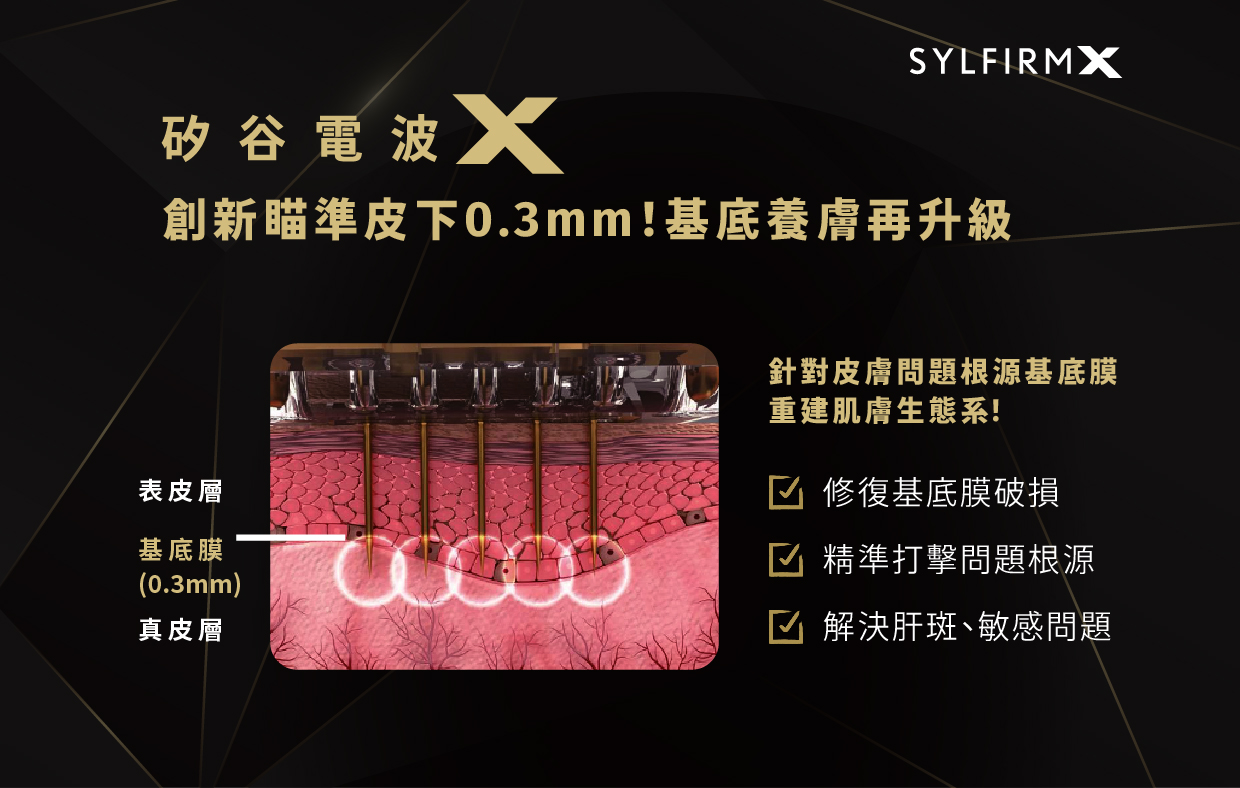 SYLFIRM X 原理