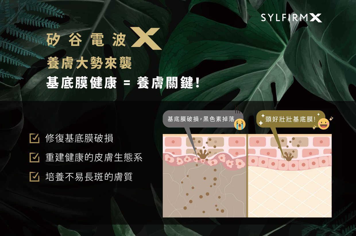 基底膜修復